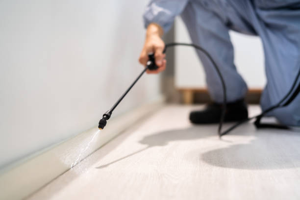Certified termite inspector examining foundation in Falls City